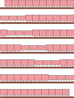 A simplified image showing Earthworm movement via peristalsis
