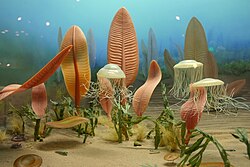 Artist's depiction of life on the ocean floor as it may have appeared prior to the evolution of corals