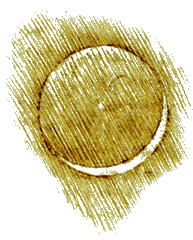 Leonardo da Vinci's sketch of crescent Moon with earthshine as part of his Codex Leicester, written between 1506 and 1510