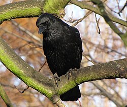 In Southend-on-Sea, England