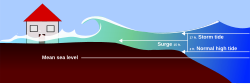 Elements of a storm tide at high tide