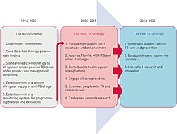 Between 1995 and 2015, the World Health Organization formulated 3 strategies for the control and ultimately the elimination of tuberculosis, with a target date of 2035. This diagram charts how these are linked and build on each other.[238]