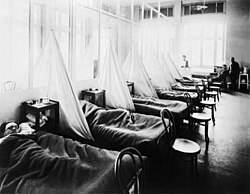 American Expeditionary Force flu patients at U.S. Army Camp Hospital no. 45 in Aix-les-Bains, France, 1918