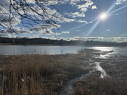 Marsh restoration habitat as it appears in January 2026
