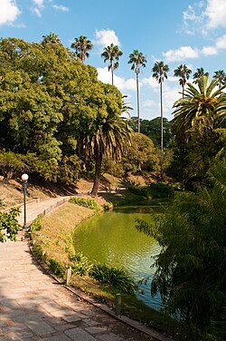 Parque Rodó park.