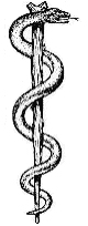 Rod of Asclepius, in which the snake, through ecdysis, symbolizes healing