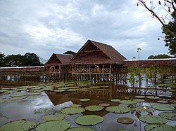 Floating houses in Leticia, Colombia