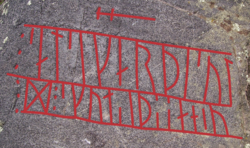 The Younger Futhark inscription Ög43, with the Elder Futhark rune ᛞ (early Old Norse: *dagʀ, "day") used as an ideographic rune for the writer’s name
