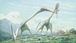 Azhdarchid pterosaurs such as Arambourgiana thrived at the end of the Cretaceous