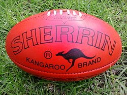 A Sherrin Kangaroo Brand football. Sherrin is the official game ball of the Australian Football League.[78]