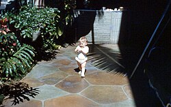 Patio with stone tile, Hawaii, US 1960